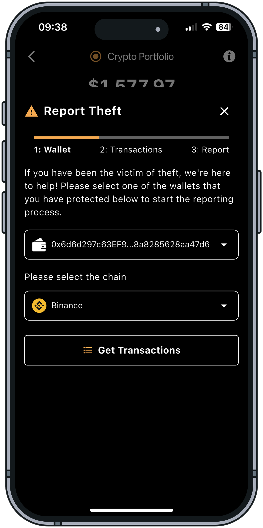 Report Theft - Select Wallet and Chain